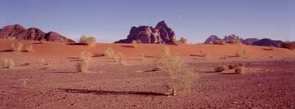 [The lovely desert]